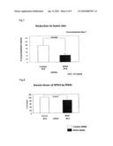 USE OF RPN2 GENE EXPRESSION INHIBITOR diagram and image