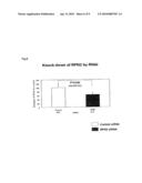 USE OF RPN2 GENE EXPRESSION INHIBITOR diagram and image