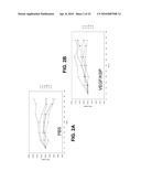 Compositions and Methods for Inhibiting Expression of Eg5 and VEGF Genes diagram and image