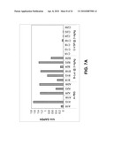 Compositions and Methods for Inhibiting Expression of Eg5 and VEGF Genes diagram and image