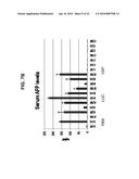 Compositions and Methods for Inhibiting Expression of Eg5 and VEGF Genes diagram and image