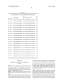 Compositions and Methods for Inhibiting Expression of Eg5 and VEGF Genes diagram and image