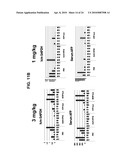 Compositions and Methods for Inhibiting Expression of Eg5 and VEGF Genes diagram and image