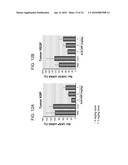 Compositions and Methods for Inhibiting Expression of Eg5 and VEGF Genes diagram and image