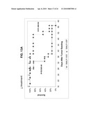 Compositions and Methods for Inhibiting Expression of Eg5 and VEGF Genes diagram and image