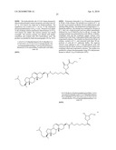 Compositions and Methods for Inhibiting Expression of Eg5 and VEGF Genes diagram and image