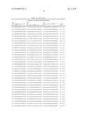 Compositions and Methods for Inhibiting Expression of Eg5 and VEGF Genes diagram and image