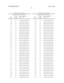 Compositions and Methods for Inhibiting Expression of Eg5 and VEGF Genes diagram and image