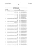 Compositions and Methods for Inhibiting Expression of Eg5 and VEGF Genes diagram and image