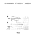 SPINAL MUSCULAR ATROPHY (SMA) TREATMENT VIA TARGETING OF SMN2 SPLICE SITE INHIBITORY SEQUENCES diagram and image