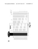 SPINAL MUSCULAR ATROPHY (SMA) TREATMENT VIA TARGETING OF SMN2 SPLICE SITE INHIBITORY SEQUENCES diagram and image