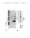 SPINAL MUSCULAR ATROPHY (SMA) TREATMENT VIA TARGETING OF SMN2 SPLICE SITE INHIBITORY SEQUENCES diagram and image