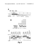 SPINAL MUSCULAR ATROPHY (SMA) TREATMENT VIA TARGETING OF SMN2 SPLICE SITE INHIBITORY SEQUENCES diagram and image