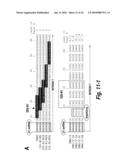 SPINAL MUSCULAR ATROPHY (SMA) TREATMENT VIA TARGETING OF SMN2 SPLICE SITE INHIBITORY SEQUENCES diagram and image