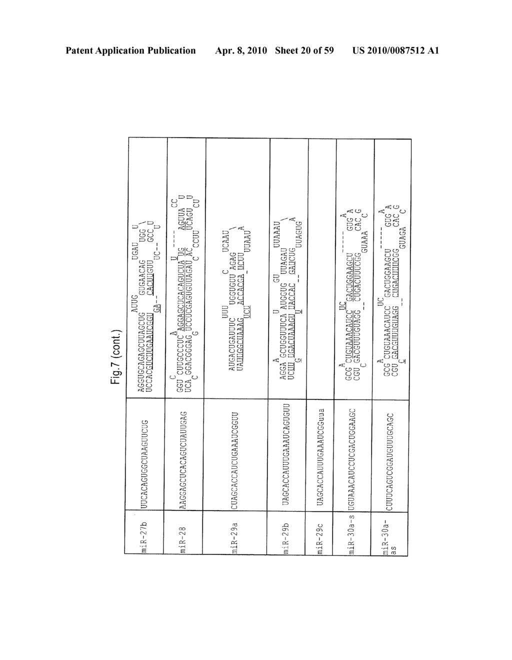 MICRORNA MOLECULES - diagram, schematic, and image 21