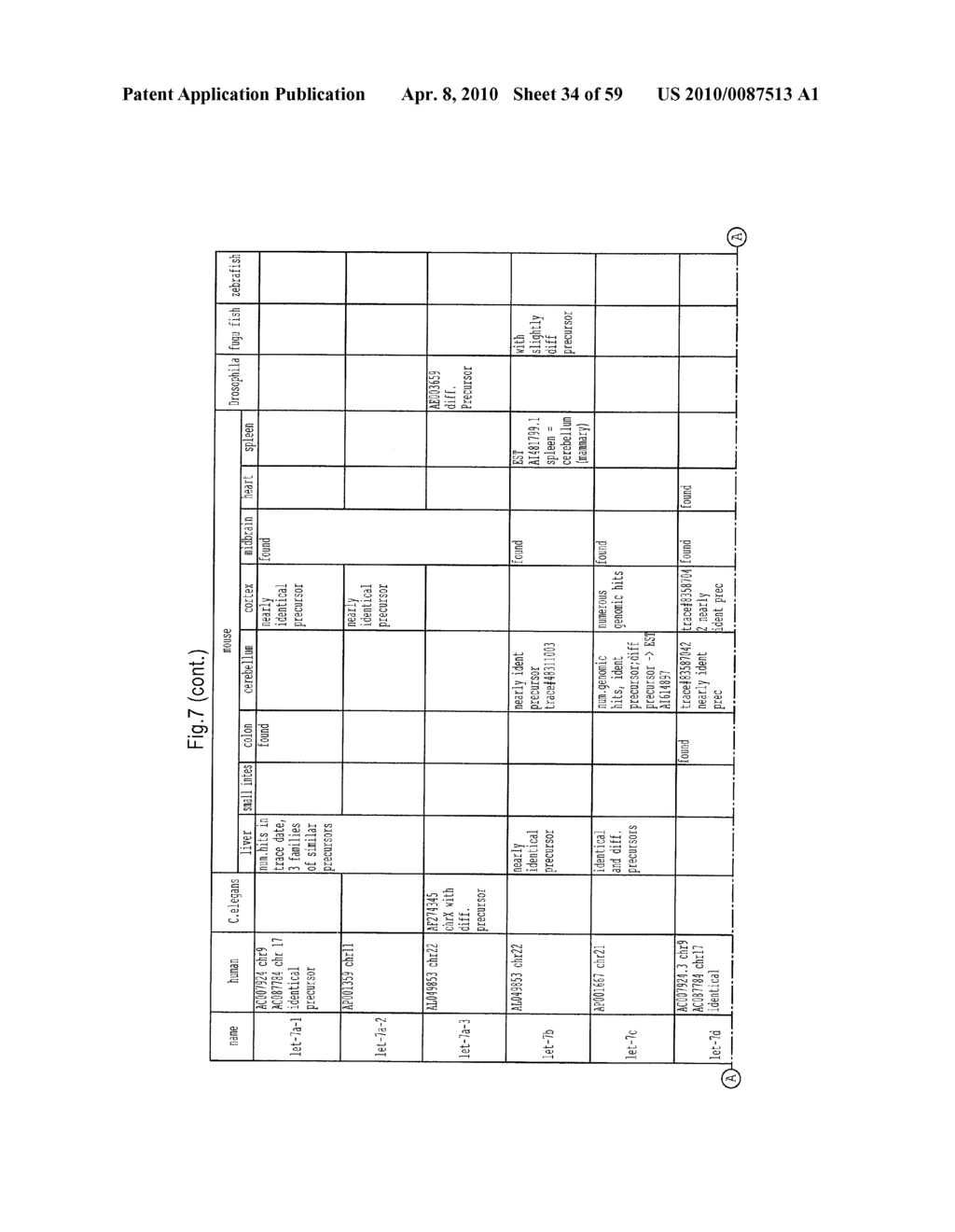 MICRORNA MOLECULES - diagram, schematic, and image 35