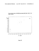 Method of Synthesizing Acetonide-Protected Catechol-Containing Compounds and Intermediates Produced Therein diagram and image