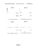 ISOLATION AND SEPARATION OF MINIMALLY DENATURED POTATO PROTEINS AND PEPTIDES diagram and image