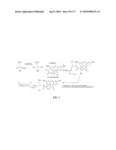 Fluorous Oligonucleotide Reagents and Affinity Purification of Oligonucleotides diagram and image