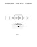 METHOD OF CHARACTERIZATION AND DIFFERENTIATION OF TISSUE diagram and image