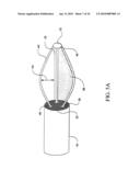 Sphincter treatment apparatus diagram and image