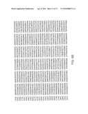 CHARACTERIZATION OF GRANULOCYTIC EHRLICHIA AND METHODS OF USE diagram and image