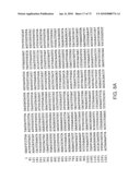 CHARACTERIZATION OF GRANULOCYTIC EHRLICHIA AND METHODS OF USE diagram and image