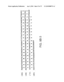 CHARACTERIZATION OF GRANULOCYTIC EHRLICHIA AND METHODS OF USE diagram and image