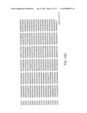 CHARACTERIZATION OF GRANULOCYTIC EHRLICHIA AND METHODS OF USE diagram and image