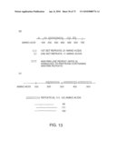 CHARACTERIZATION OF GRANULOCYTIC EHRLICHIA AND METHODS OF USE diagram and image