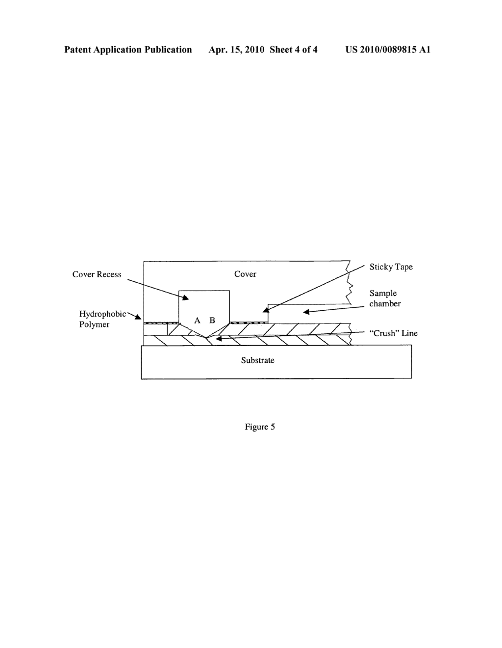 Rapid and efficient filtering whole blood in capillary flow device - diagram, schematic, and image 05