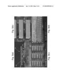 PHOTOELECTROCHEMICAL ETCHING FOR CHIP SHAPING OF LIGHT EMITTING DIODES diagram and image