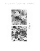 Growth of low dislocation density group-III nitrides and related thin-film structures diagram and image