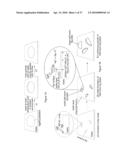 DIRECT GROWTH OF METAL NANOPLATES ON SEMICONDUCTOR SUBSTRATES diagram and image