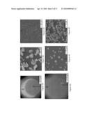 DIRECT GROWTH OF METAL NANOPLATES ON SEMICONDUCTOR SUBSTRATES diagram and image