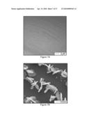 DIRECT GROWTH OF METAL NANOPLATES ON SEMICONDUCTOR SUBSTRATES diagram and image