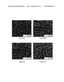 DIRECT GROWTH OF METAL NANOPLATES ON SEMICONDUCTOR SUBSTRATES diagram and image