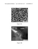 DIRECT GROWTH OF METAL NANOPLATES ON SEMICONDUCTOR SUBSTRATES diagram and image