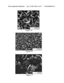 DIRECT GROWTH OF METAL NANOPLATES ON SEMICONDUCTOR SUBSTRATES diagram and image