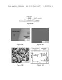 DIRECT GROWTH OF METAL NANOPLATES ON SEMICONDUCTOR SUBSTRATES diagram and image