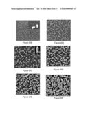 DIRECT GROWTH OF METAL NANOPLATES ON SEMICONDUCTOR SUBSTRATES diagram and image