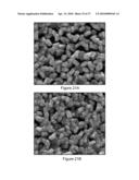 DIRECT GROWTH OF METAL NANOPLATES ON SEMICONDUCTOR SUBSTRATES diagram and image