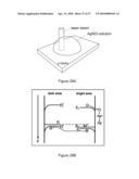 DIRECT GROWTH OF METAL NANOPLATES ON SEMICONDUCTOR SUBSTRATES diagram and image