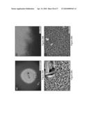 DIRECT GROWTH OF METAL NANOPLATES ON SEMICONDUCTOR SUBSTRATES diagram and image