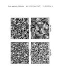 DIRECT GROWTH OF METAL NANOPLATES ON SEMICONDUCTOR SUBSTRATES diagram and image