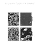 DIRECT GROWTH OF METAL NANOPLATES ON SEMICONDUCTOR SUBSTRATES diagram and image