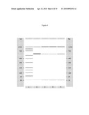 Replenishment and Enrichment of Ocular Surface Lubrication diagram and image