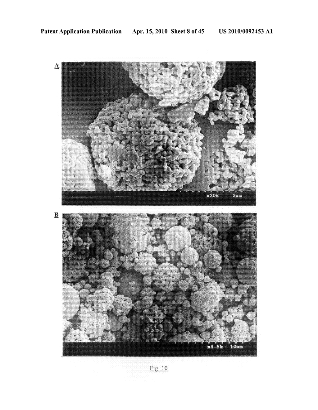 Method of producing porous microparticles - diagram, schematic, and image 09