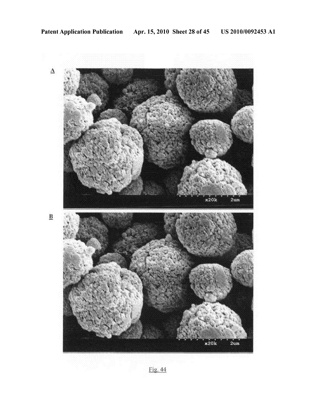 Method of producing porous microparticles - diagram, schematic, and image 29