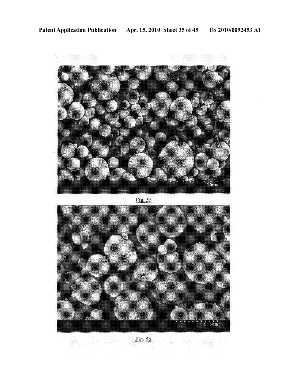 Method of producing porous microparticles - diagram, schematic, and image 36